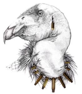 queen Queen of Carrion